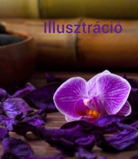 Vica (46) - Győr - kép 1020848