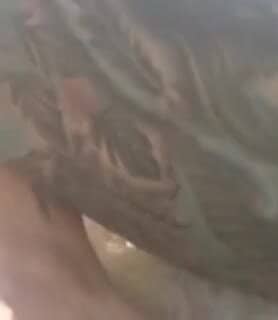 Stella (55) - Sopron