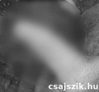 milfhunter szexpartner +36 30 209 6775 fénykép 6.