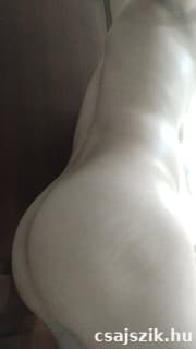 Tomika szexpartner +36 70 154 0819 fénykép 1.