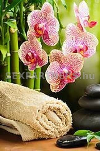 Győr, 39 éves escort, Emese