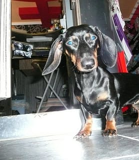 Káma Erotika Barlang - Debrecen - kép 18622