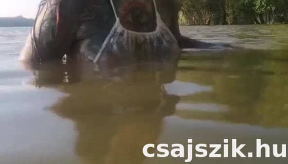 Stella szexpartner +36 70 566 6924 fénykép 2.