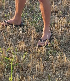 Oli (100) - Veszprém - kép 1013396