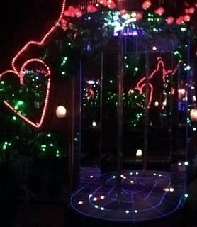 Senator Night Club - Debrecen - kép 495470