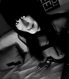 Ts Cat (33) - Szeged - kép 817505