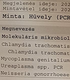 Vica (46) - Győr - kép 1039961