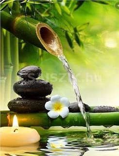 Rita masszázs +36 20 970 8199 fénykép 3.