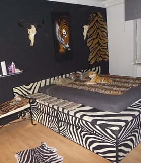 Night Club Flying Lady - Szombathely - kép 780529