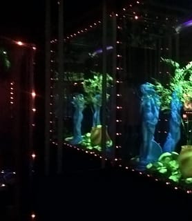 Senator Night Club - Debrecen - kép 495468