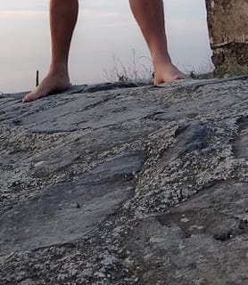 Oli (100) - Veszprém - kép 1013689