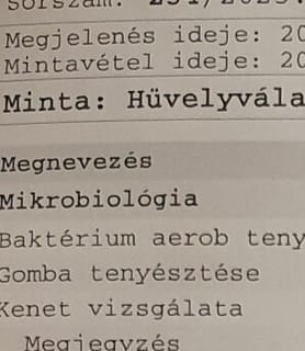 Vica (46) - Győr - kép 1039960