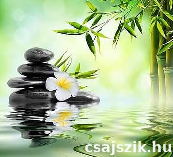 Rita masszázs +36 20 970 8199 fénykép 2.