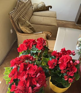 Exhibitionist Doll House - Budapest V. - kép 927865